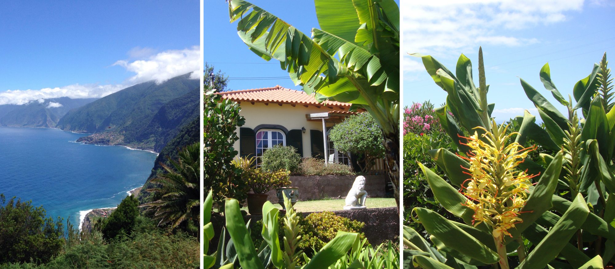 Madeira Wine Cottages